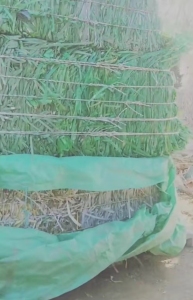 出售PET打包带废料