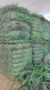 出售绿色pet打包带，一个月20吨