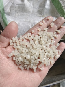 出售pp透明饭盒颗粒，一个月300吨
