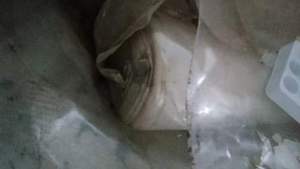 出售废膜，杂膜，便宜处理