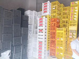 长期出售水果筐（黑白蓝透黄都有），现货3-4吨