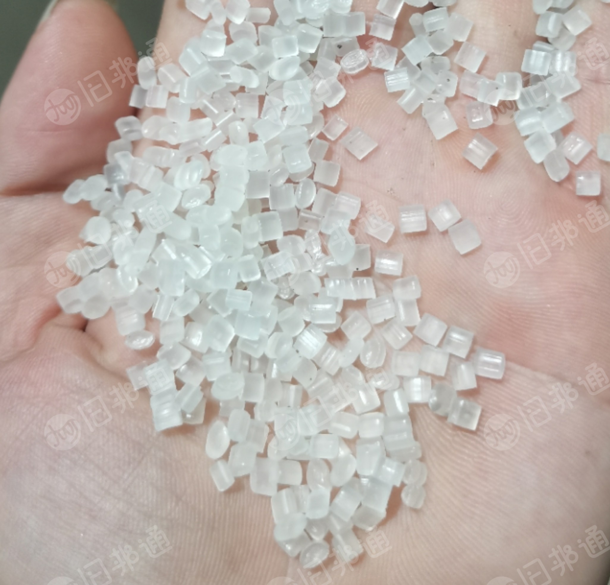 出售PP吊瓶颗粒,过80目,月供90吨