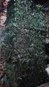 长期出售PET打包带毛料，现货20吨，月供60吨。