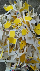 长期出售无膜烟卡纸边料