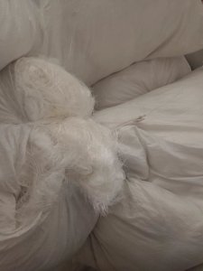 出售涤纶废丝，尼龙废丝，干丝，白色，两个材质混在一起，现货共30吨