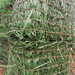 pet打包带，现货9.6米一车，可直接上机，长期出售