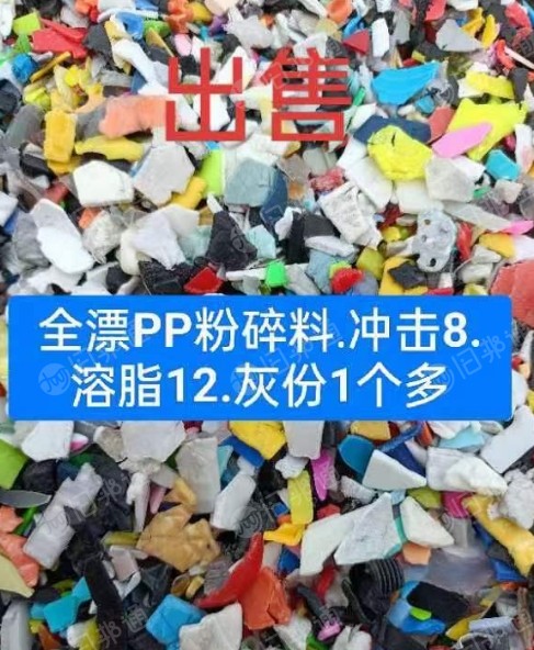全漂PP粉碎料.冲击8.溶脂12.灰份1个多.日产15吨左右,现货出售