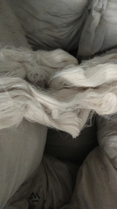 出售气流纺棉浆，浆纱，现货十几吨