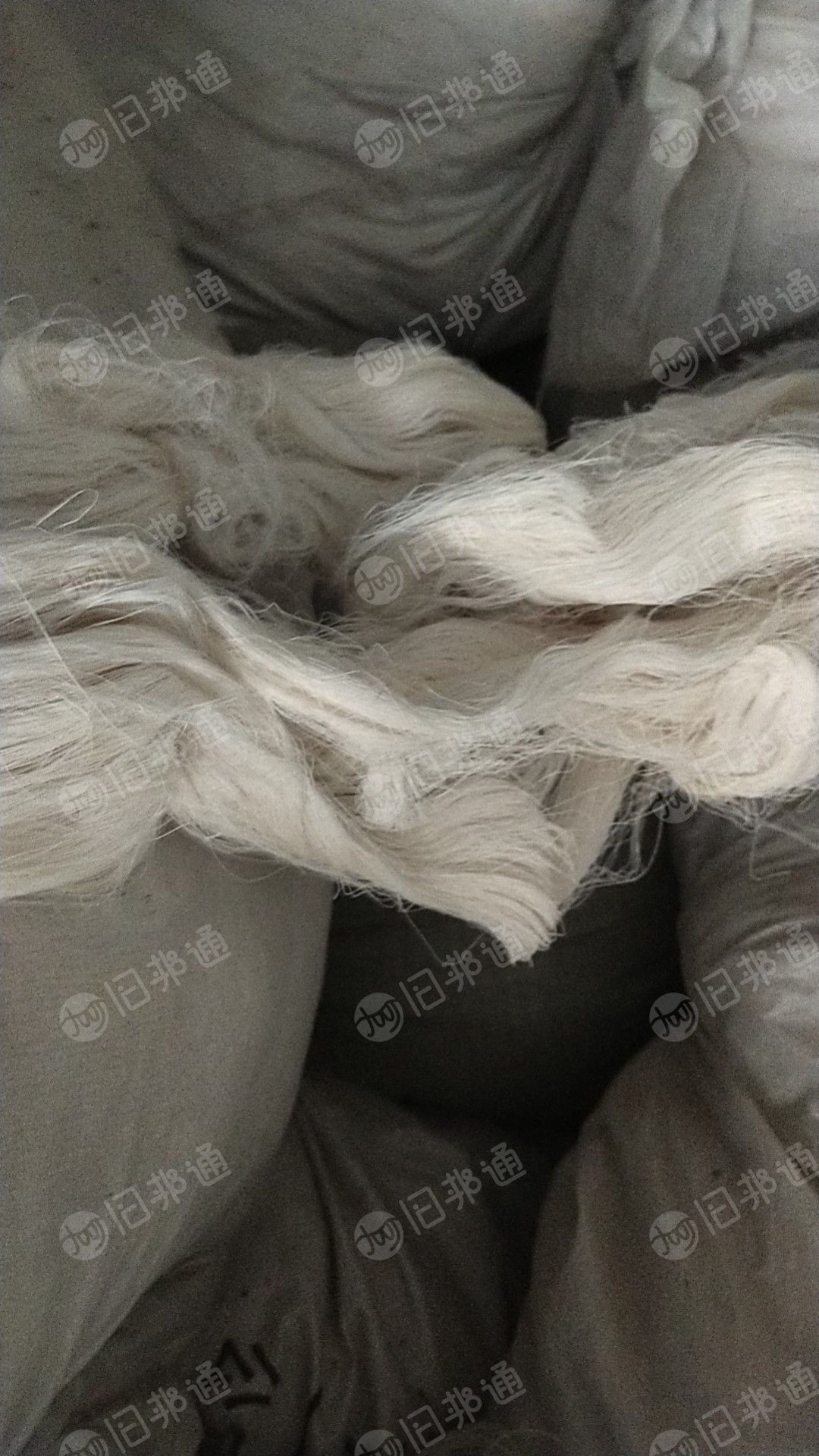 出售气流纺棉浆,浆纱,现货十几吨