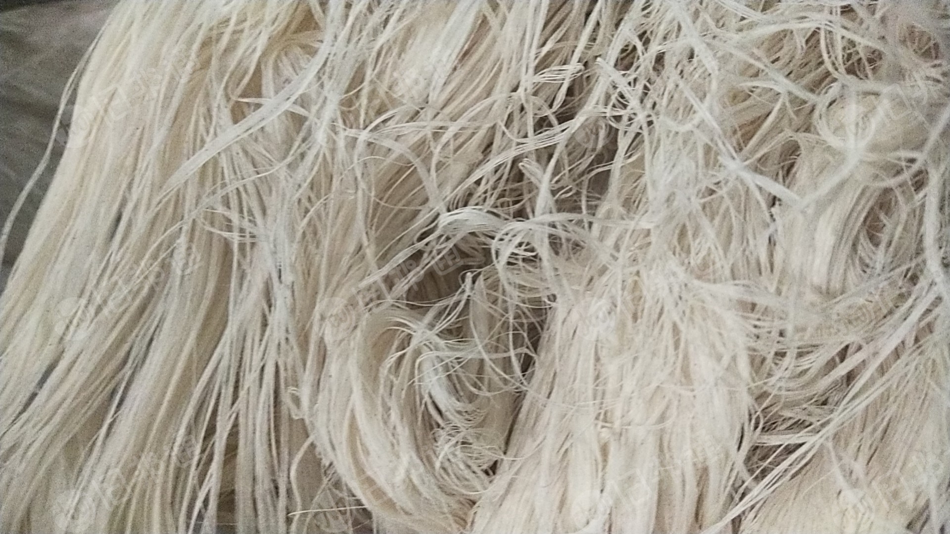 出售气流纺棉浆,浆纱,现货十几吨