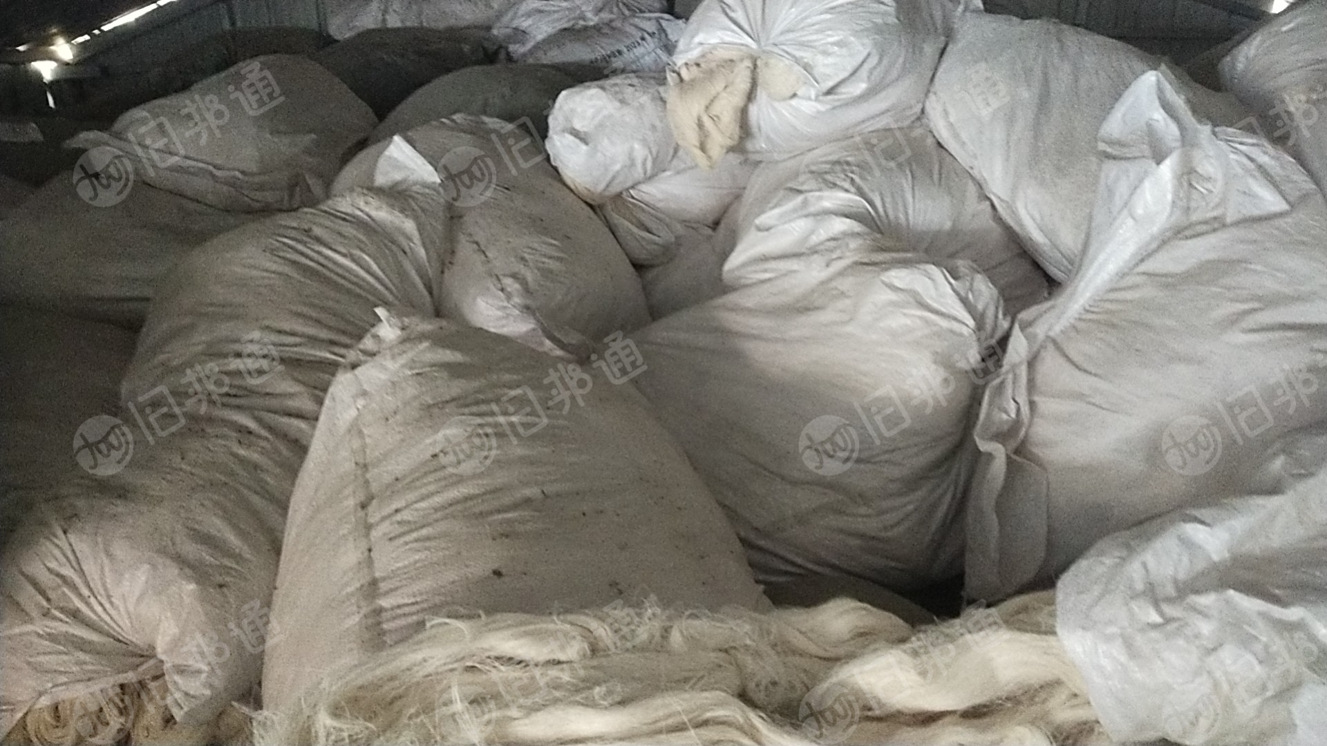 出售气流纺棉浆,浆纱,现货十几吨