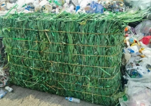 长期出售PET打包带压块