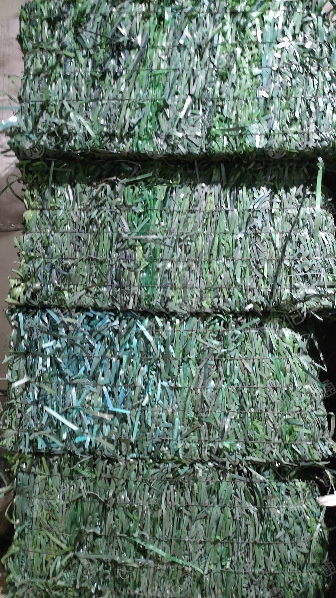 长期出售pet打包带毛料,清洗好可以直接上机的,现货20吨