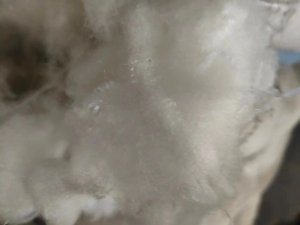 出售锦纶短纤维，25吨左右