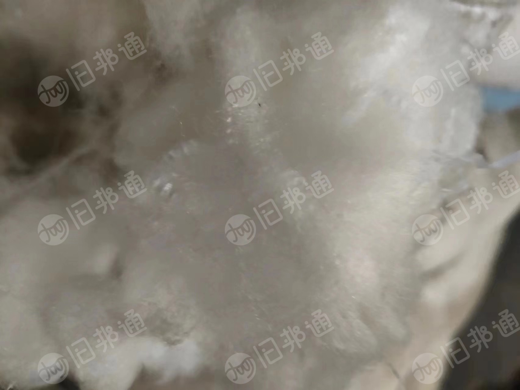 出售锦纶短纤维,25吨左右