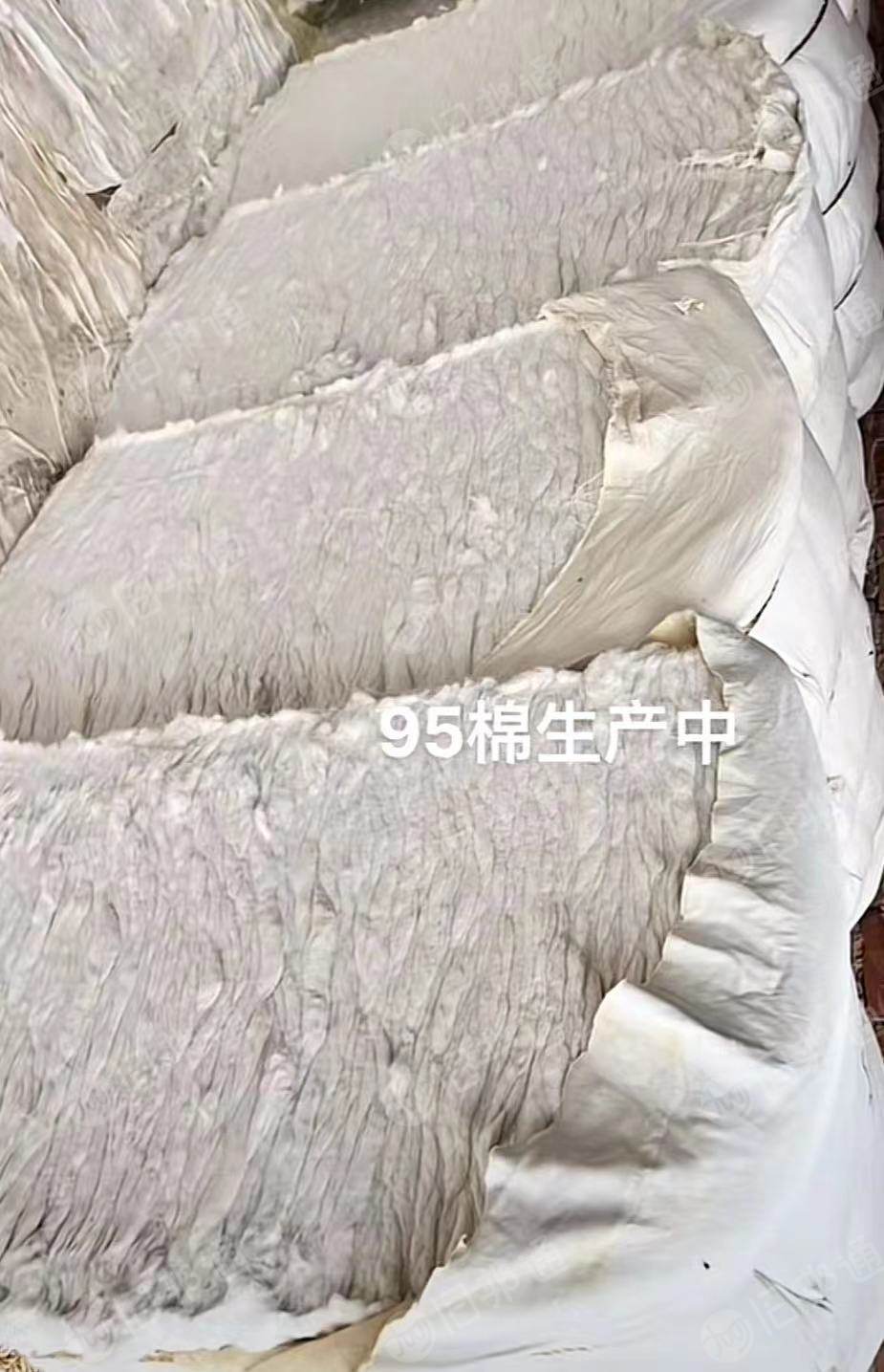 出售白色95棉,95布块开花棉