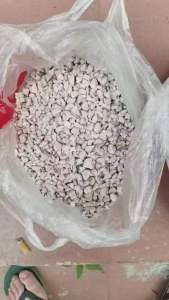 出售PPR破碎料，月供几百吨