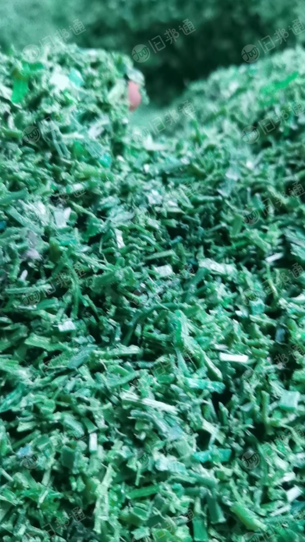 长期出售PET打包带破碎料,塑钢带破碎料