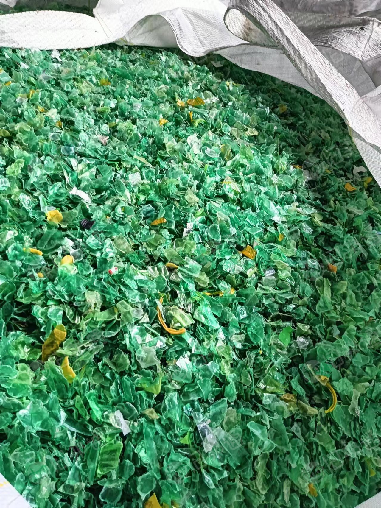 长期出售pet瓶片,带水干粉的,各种颜色都有,现货5-6吨
