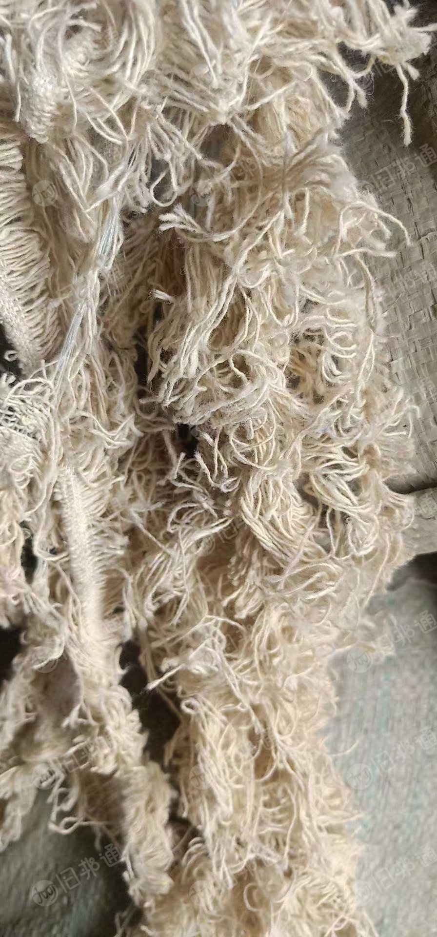 长期出售织布厂废棉纱,汽流纺涤棉边纱,现货300吨左右