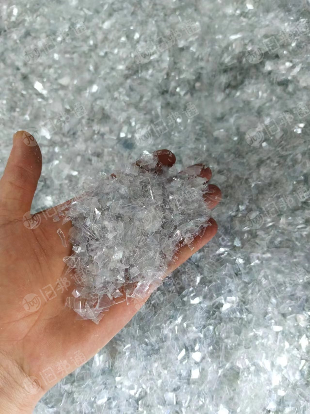 长期出售纺丝料破碎料,现货两挂