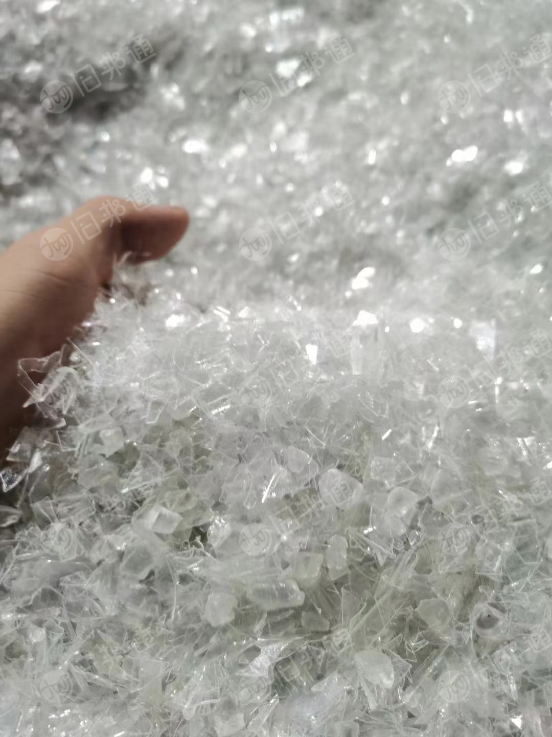 长期出售纺丝料破碎料,现货两挂