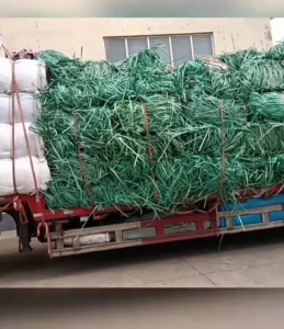 出售PET打包带废料，未打包