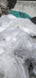 长期出售纸杯淋膜厂PE高压膜，月供10吨左右