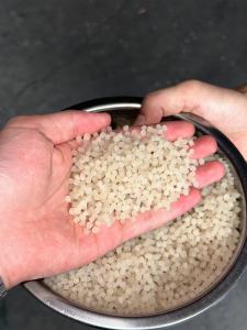 出售EVA再生颗粒，溶解温度120°，改性厂，注塑厂可用