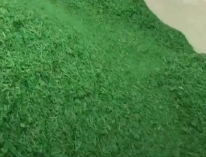 出售PET打包带破碎料