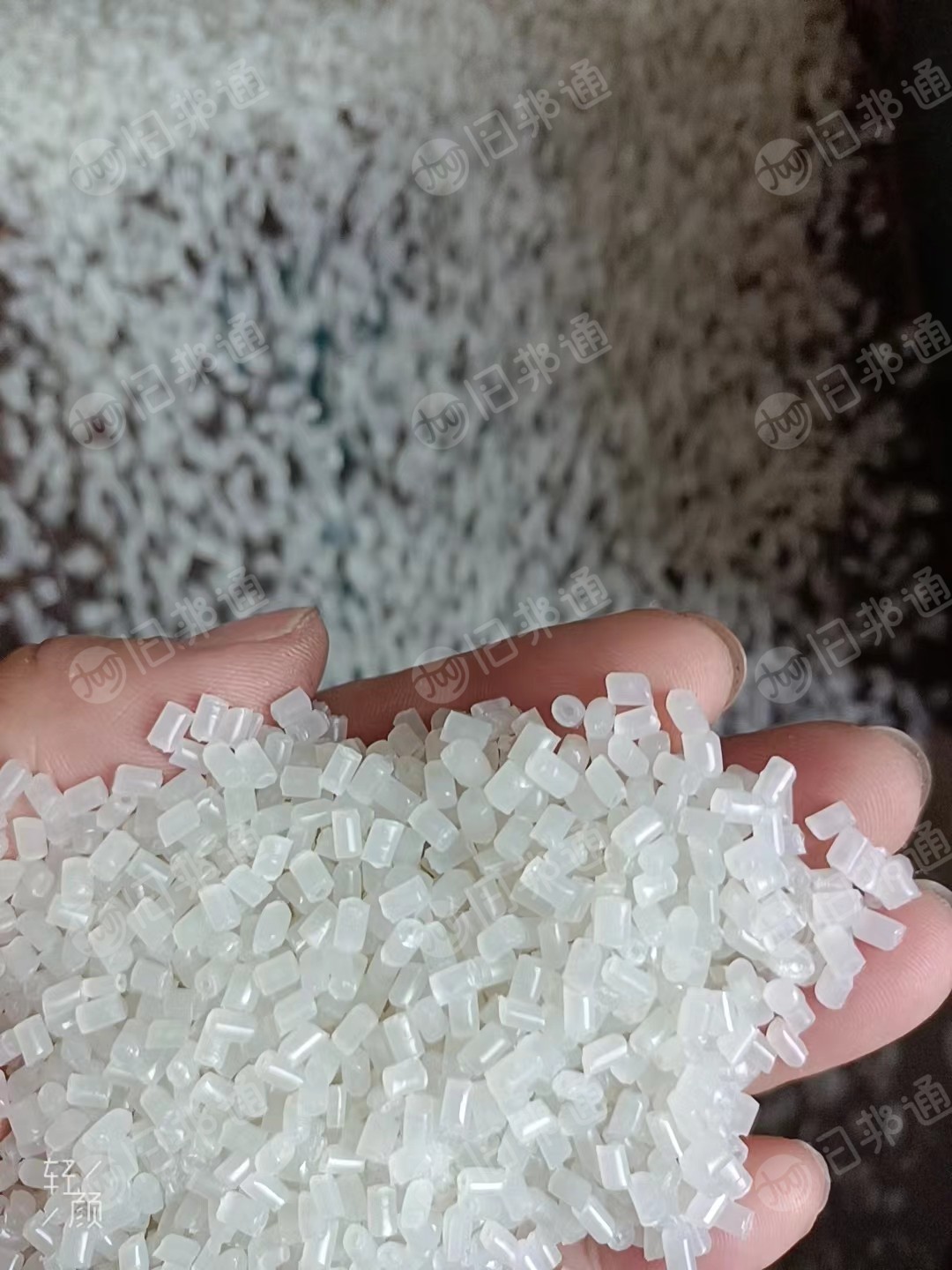 出售透明PP颗粒,月供100吨