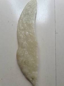 出售大厂出来的PP料，干净无杂无水，吨包装