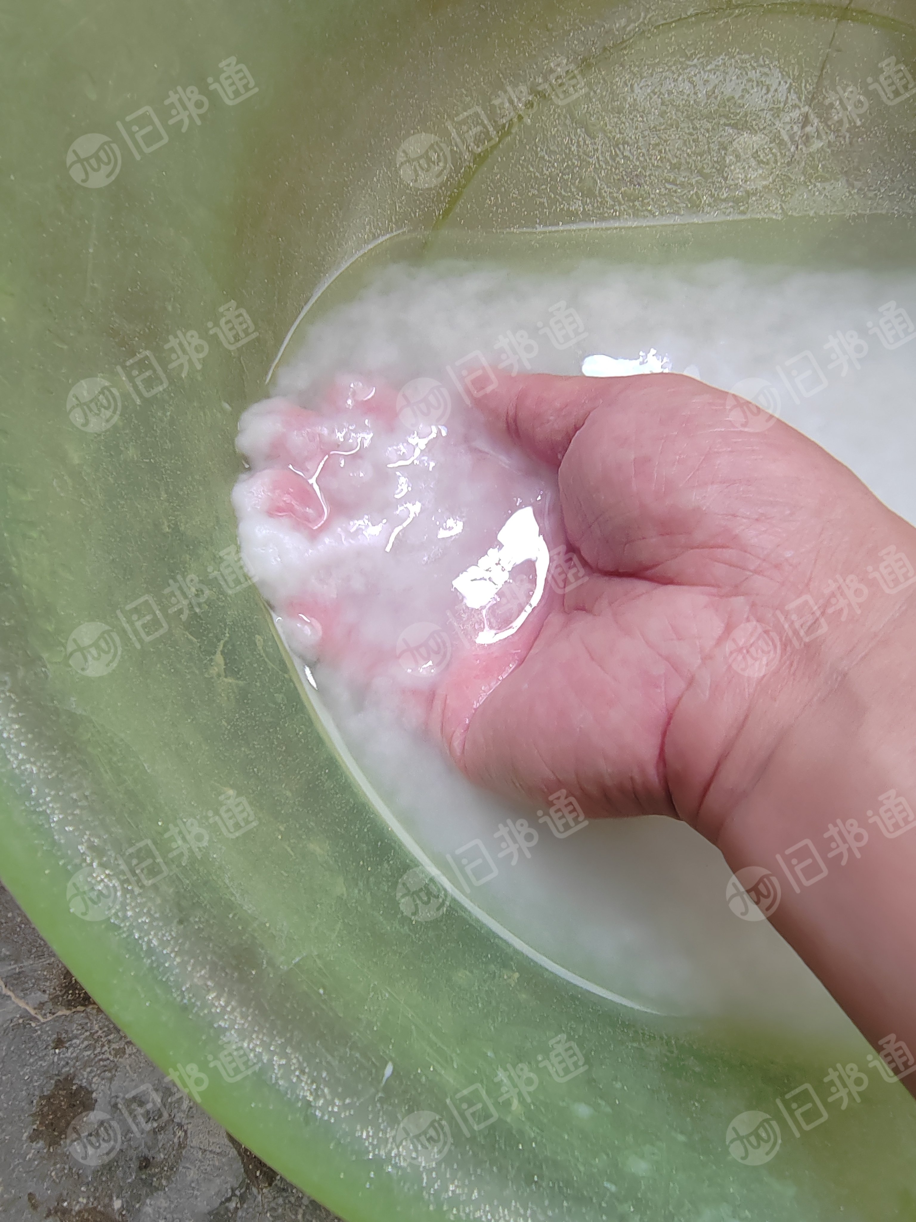 脱脂短绒棉,粉尘棉,磨毛,不脱脂的纯棉粉尘,回收