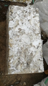 长期出售EPS热熔块，月供5吨左右