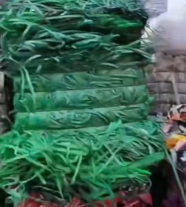 出售PET打包带毛料