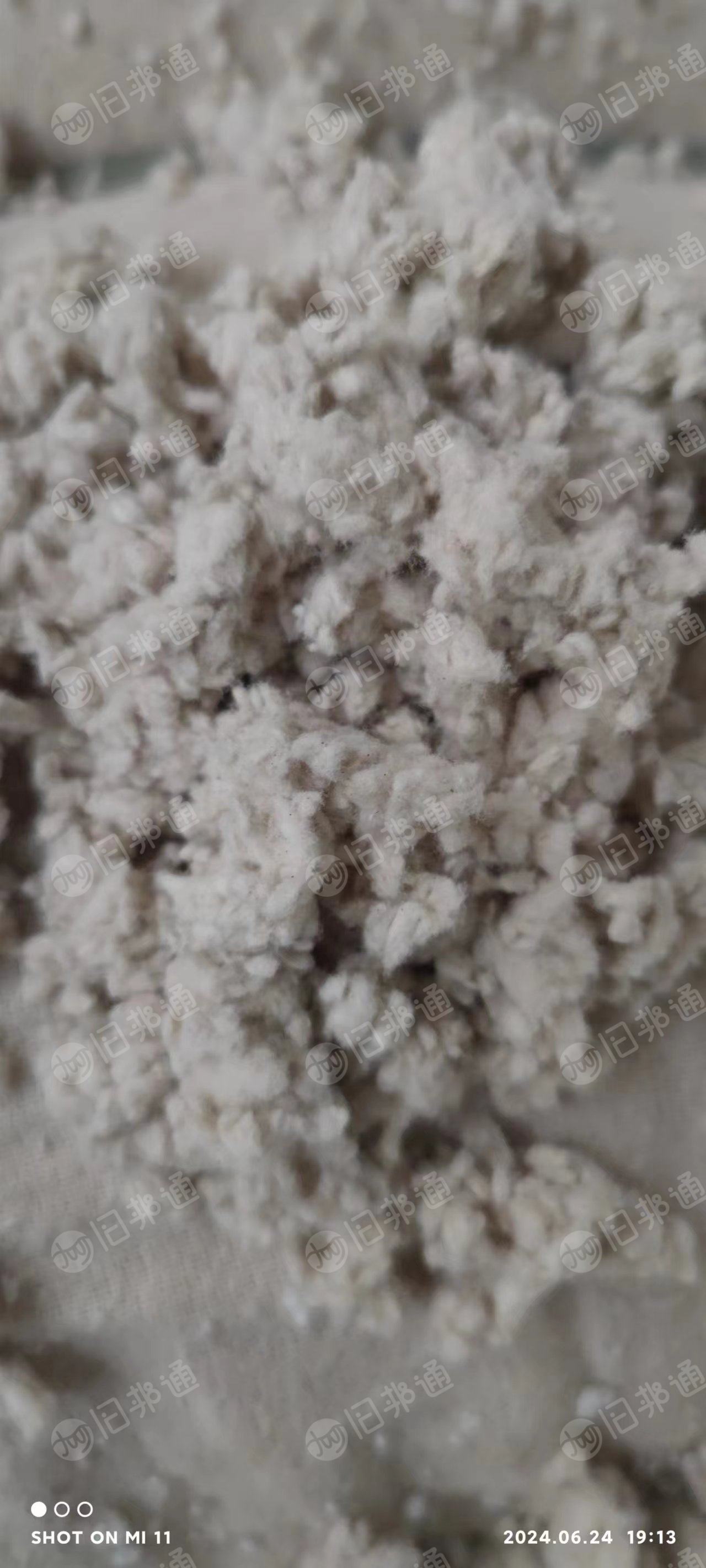 出售脱脂棉绒,货在河南商丘