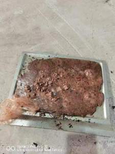 长期出售涤纶泡料，氨纶泡料等