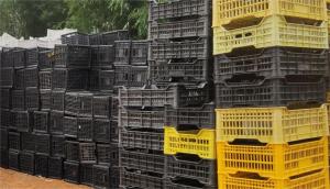 出售黑色水果框毛料，PP破碎料，PP颗粒，黑料