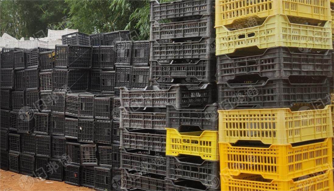 出售黑色水果框毛料,PP破碎料,PP颗粒,黑料