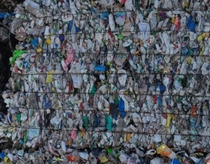 长期出售花乙大小白混压块