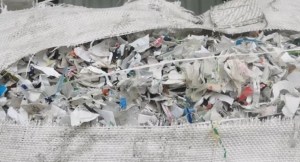 现货出售聚酯杂色片，杂瓶砖