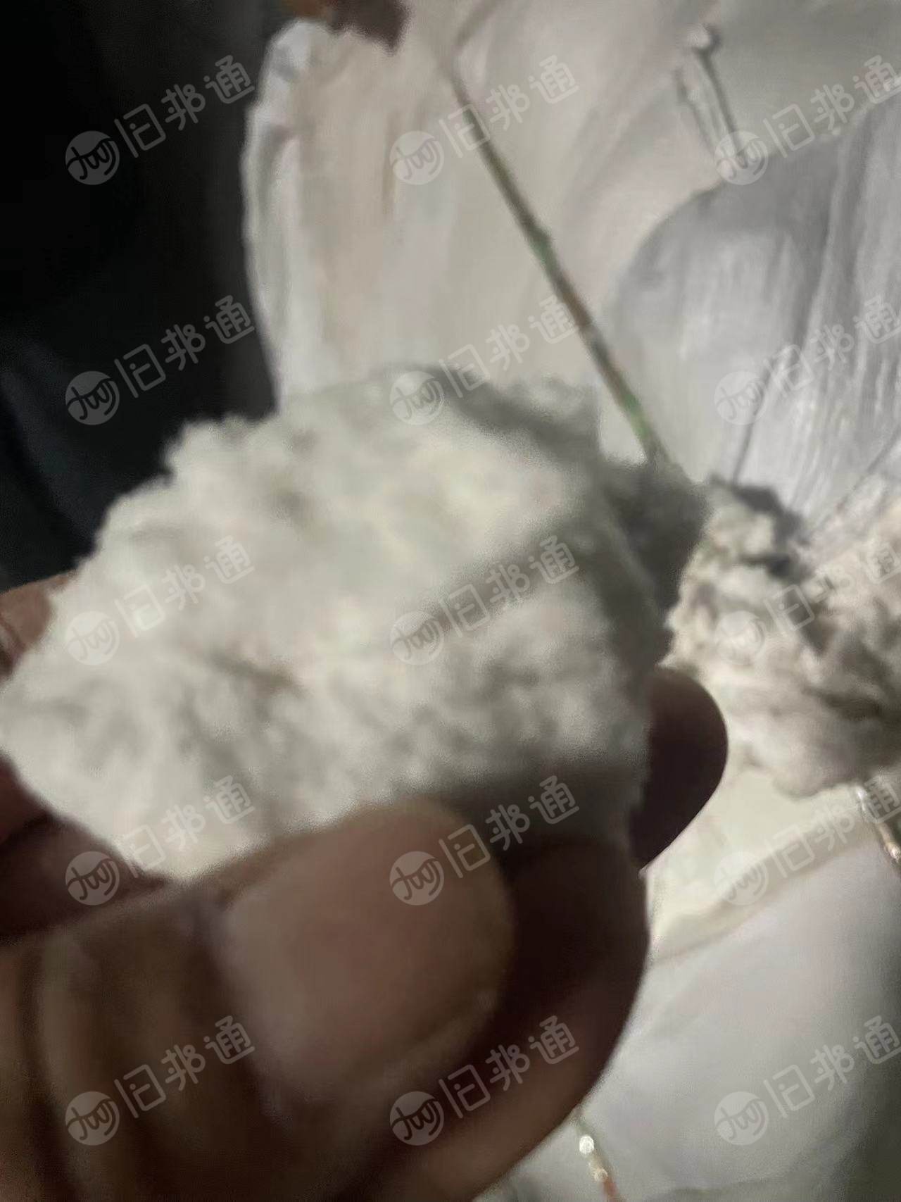 长期出售漂白纯棉磨毛料，漂白，原白都有