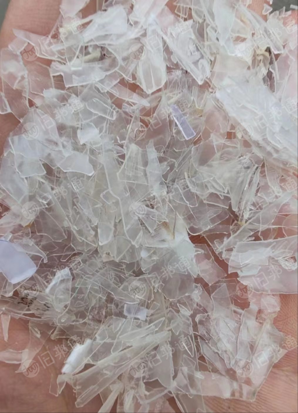 长期出售饭盒破碎料,透明丙破碎料