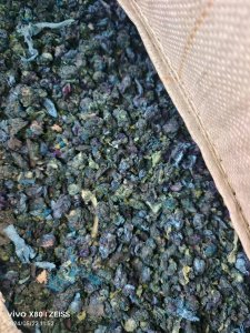 长期出售涤纶布泡，氨纶布泡，多种颜色，泡料，泡泡料，月供百吨