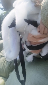 出售绗棉，服装厂下脚料，浅色，一层棉一层布