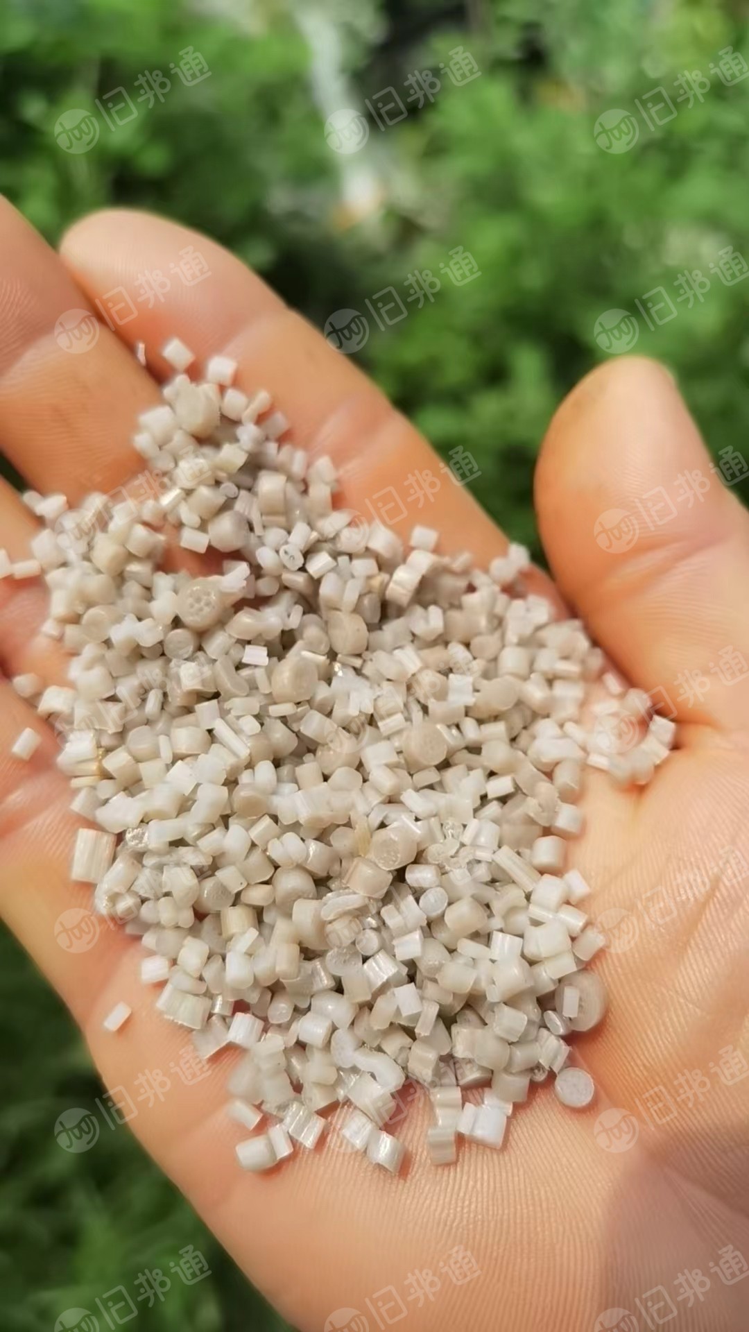 售珍珠棉颗粒,大白料和二白料