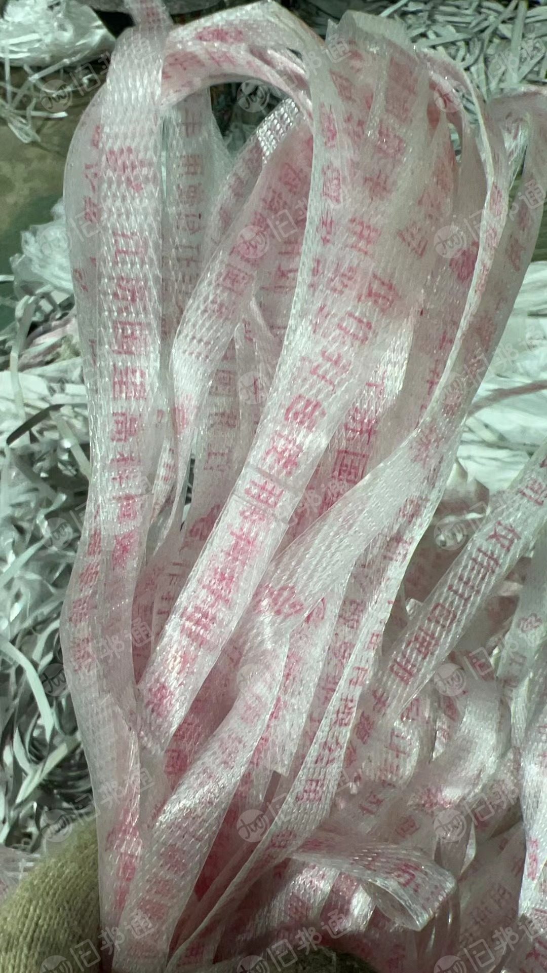 出售PP打包带破碎料,透明乳白都有