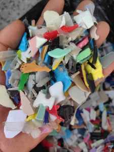 长期出售全漂日杂pp破碎料，月供200吨