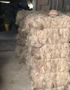 长期大量出售麻丝，剑麻纤维，白麻丝等