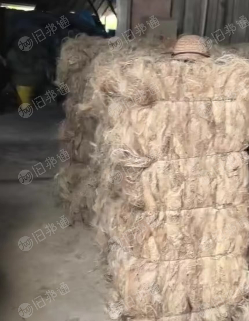长期大量出售麻丝,剑麻纤维,白麻丝等